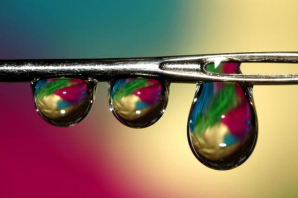 Магия утренней росы в макрофотографии Шэрон Джонстон Магия утренней росы в макрофотографии Шэрон Джонстон