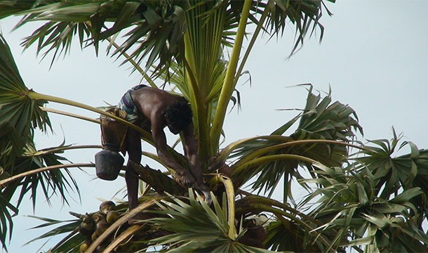 Самые странные учебные курсы университетов мира Самые, странные ,учебные курсы, университетов,в мире