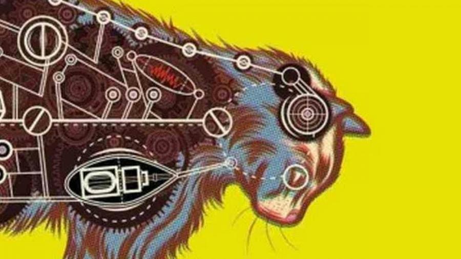 Коты-трудяги работающие на благо общества