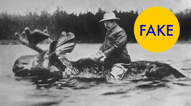 Ложные факты принятые за правду ложные факты, пресса, история