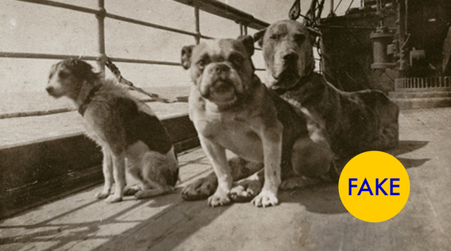 Ложные факты принятые за правду ложные факты, пресса, история