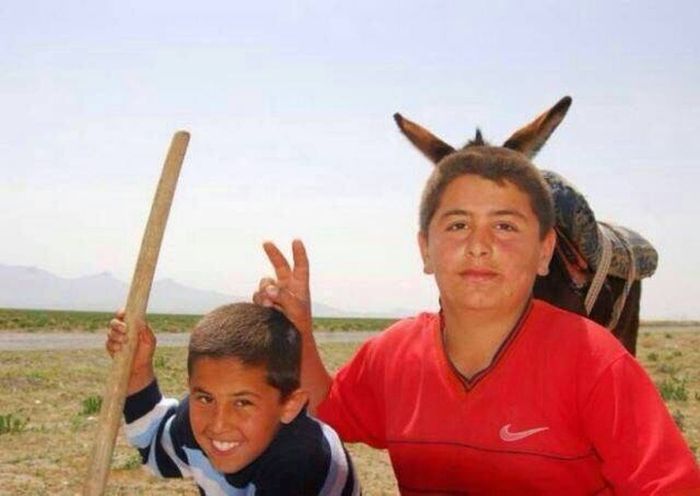 Карма не прощает! Смешные примеры, когда справедливость восторжествовала Справедливость, карма, смешные случаи, людьми, не прощает