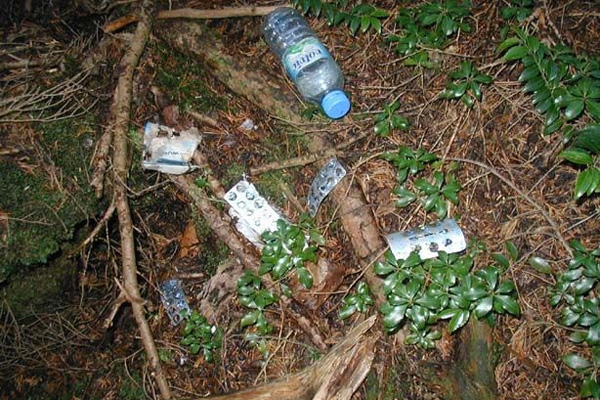 Аокигахара - японский лес самоубийц Аокигахара Дзюкай, японский лес самоубийц, Aokigahara