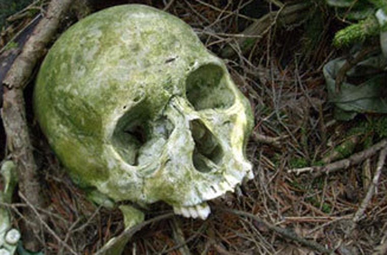 Аокигахара - японский лес самоубийц Аокигахара Дзюкай, японский лес самоубийц, Aokigahara