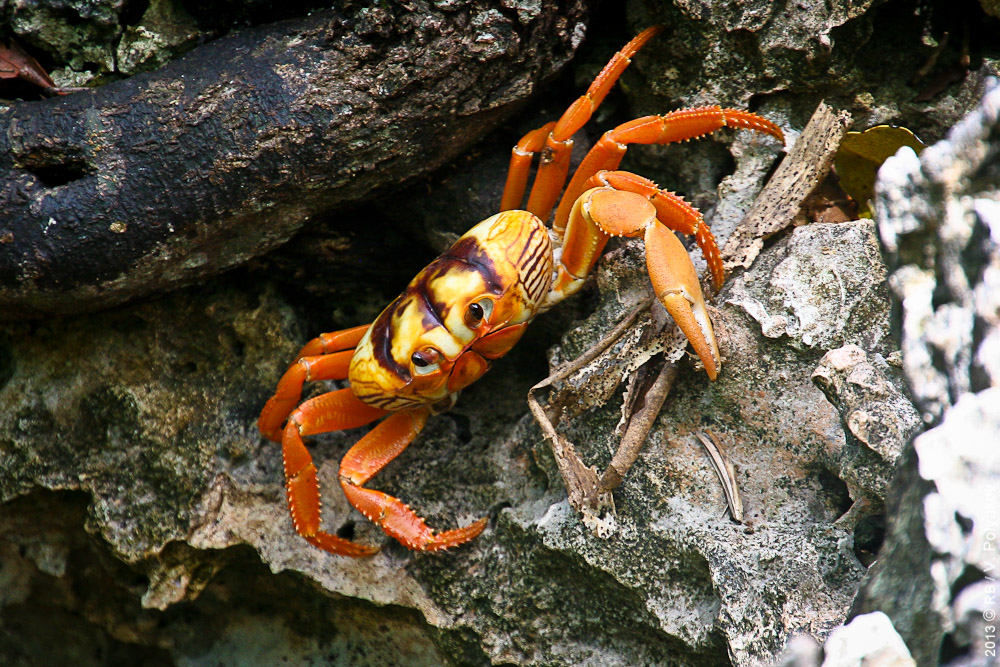 12 странных жизненных вопросов, возникающих в голове у каждого странные вопросы, очевидные странные жизненные вопросы
