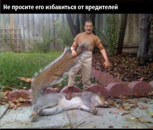 24 причины, почему нельзя ничего доверять мужьям 24 причины, почему нельзя ничего доверять мужьям, смешное