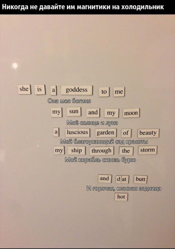 24 причины, почему нельзя ничего доверять мужьям 24 причины, почему нельзя ничего доверять мужьям, смешное