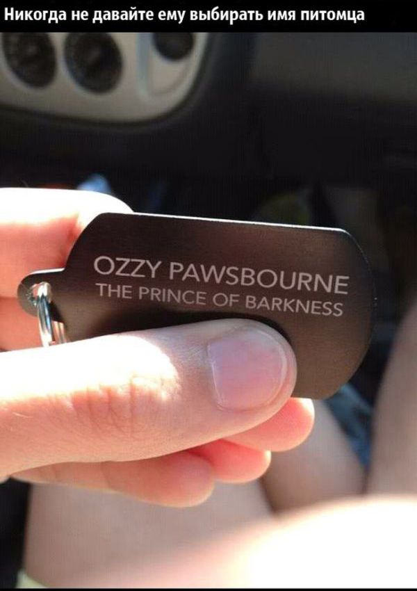 24 причины, почему нельзя ничего доверять мужьям 24 причины, почему нельзя ничего доверять мужьям, смешное