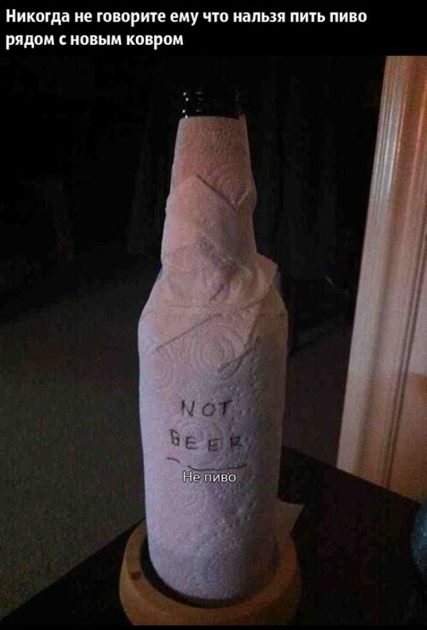 24 причины, почему нельзя ничего доверять мужьям 24 причины, почему нельзя ничего доверять мужьям, смешное