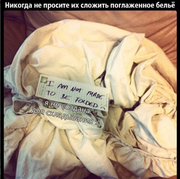 24 причины, почему нельзя ничего доверять мужьям 24 причины, почему нельзя ничего доверять мужьям, смешное