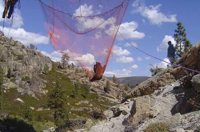 Спасение медведя, который сутки провисел под мостом цепляясь за жизнь спасение медведя мост, медведь застрял под мостом