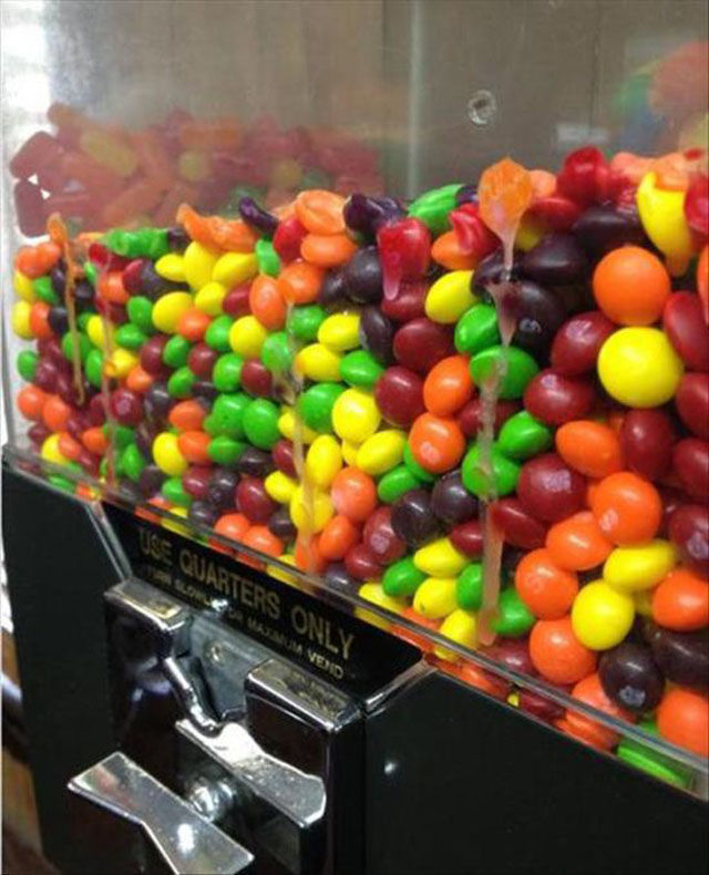 Вся беспощадность лета в смешных фотографиях беспозадное лето, страшная жара летом, летняя жара, жара фото картинки