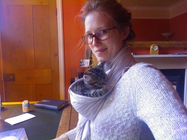 Смешные животные, которым нужно внимание хозяина прямо сейчас животные внимание хозяина, животные нуждаются во внимании, смешные животные