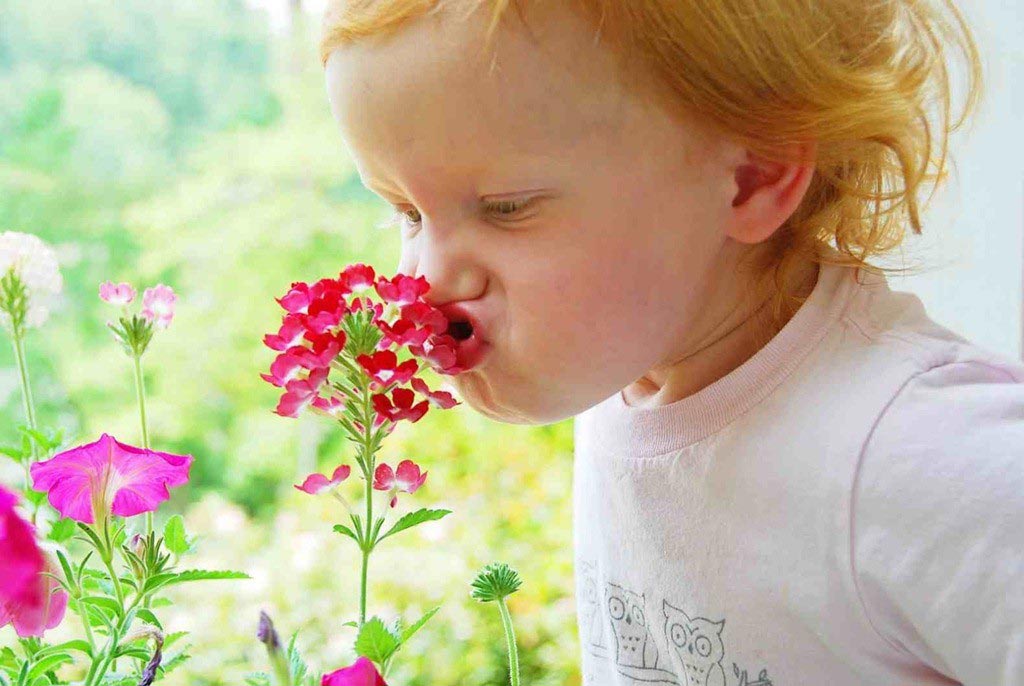 Хозяйке на заметку: ещё 25 кухонных хитростей, которые помогут сделать пищу полезнее как сделать пищу полезнее, полезная еда