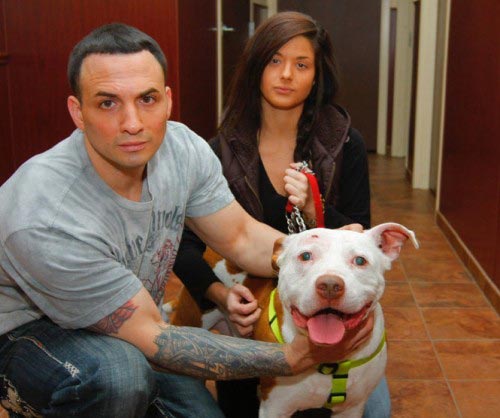 15 удивительных историй о животных-героях, спасших людей от смерти животные спасли жизнь людям, животные спасли жизнь своим хозяевам, животные спасли жизнь своим владельцам, животные герои