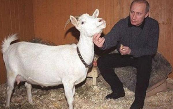 подарки Владимиру Путину, 15 подарков президенту