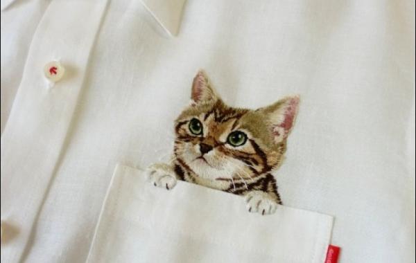 Дресс-кот: карманные котята Хироко Кубота, hiroko kubota