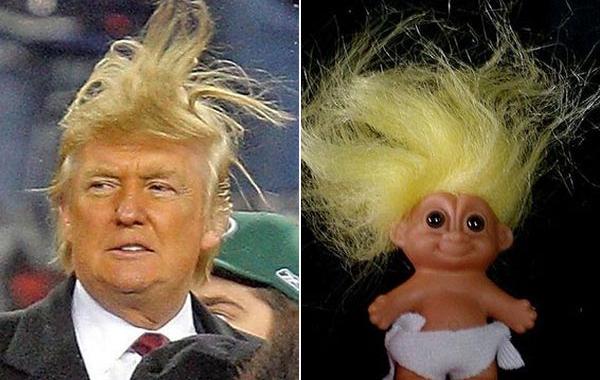 шевелюра дональда трампа, вещи похожие на дональда трампа, волосы дональда трампа
