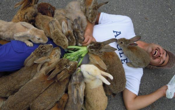 Остров Окуносима. Путешествие на остров кроликов в Японии