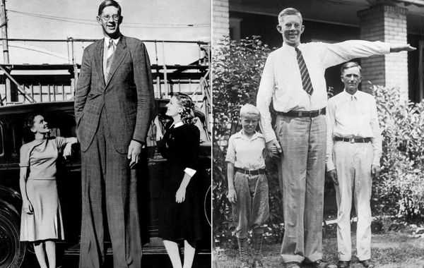 История о Роберте Уодлоу, самом высоком человеке в мире, чей рост составлял...