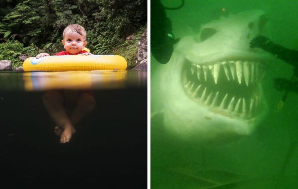 Талассофобия Страшные Картинки – Telegraph