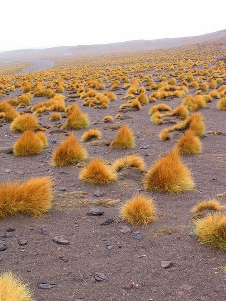 Самые экзотичные места на Земле