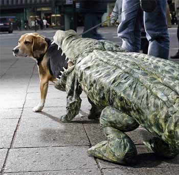 Собачки в костюмах