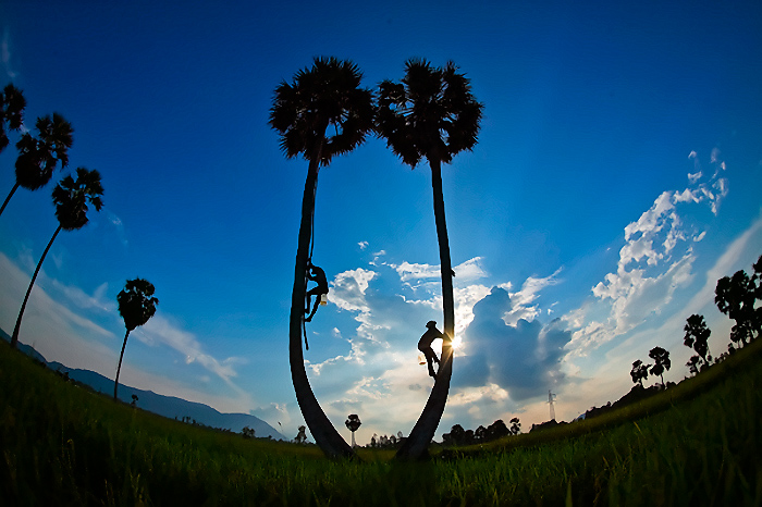 Такой прекрасный Вьетнам. Часть 2 Такой прекрасный Вьетнам