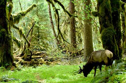 Самые уединённые места на планете