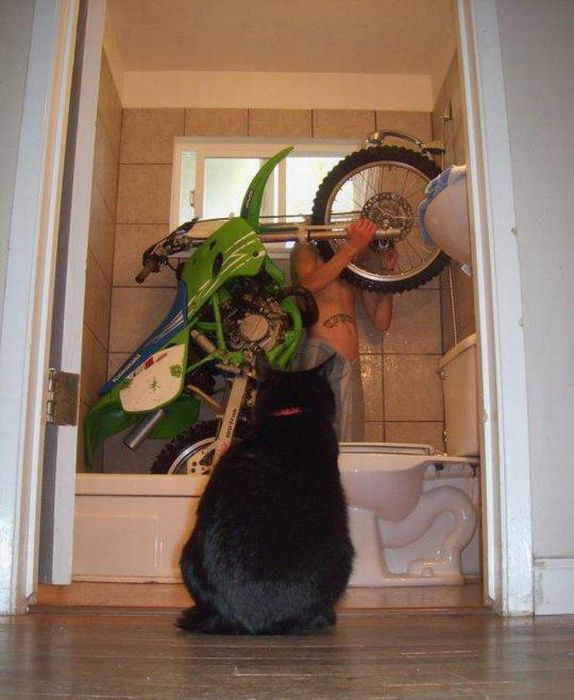 Позитивные фотографии