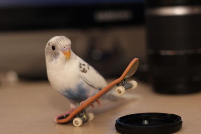 Позитивные фотографии