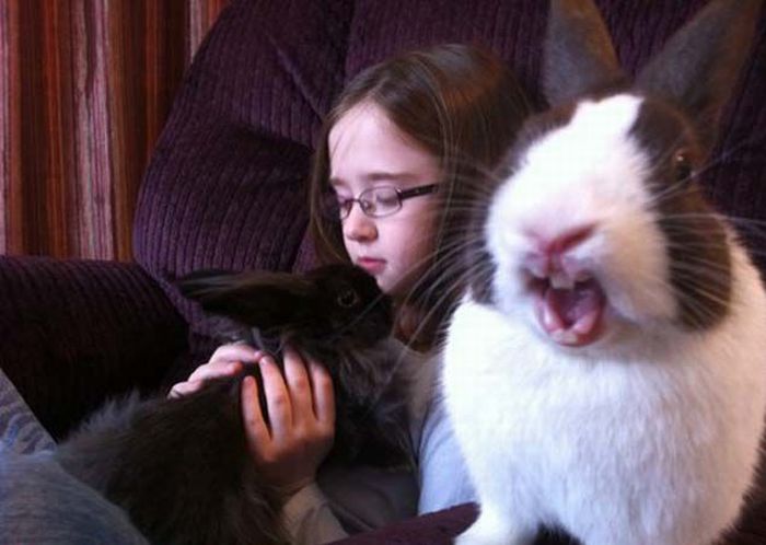 Позитивные фотографии