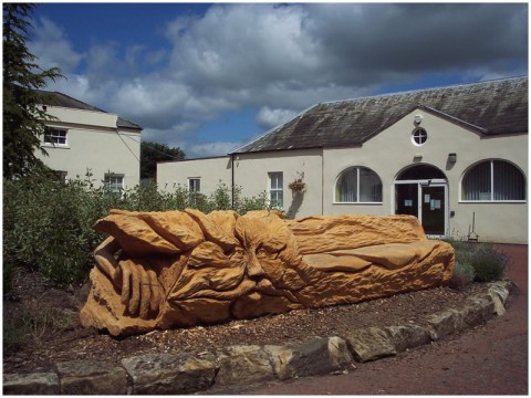 Новая жизнь срубленных деревьев от художника Томми Краггса Новая жизнь срубленных деревьев от художника Томми Краггса