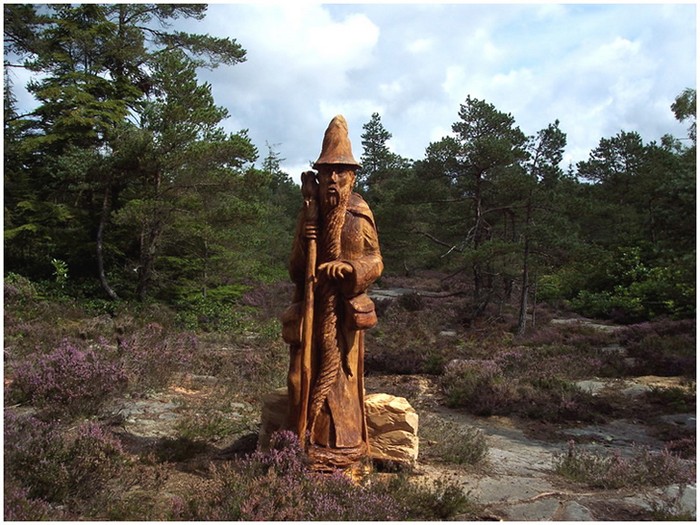 Новая жизнь срубленных деревьев от художника Томми Краггса Новая жизнь срубленных деревьев от художника Томми Краггса