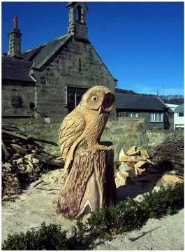 Новая жизнь срубленных деревьев от художника Томми Краггса Новая жизнь срубленных деревьев от художника Томми Краггса