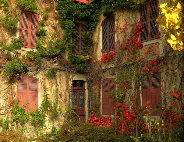 Сочная подборка летних фотографий