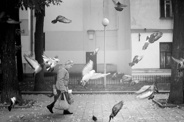 Стоп-кадр Стоп-кадр, в нужный момент,