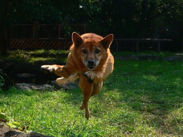Стоп-кадр Стоп-кадр, в нужный момент,