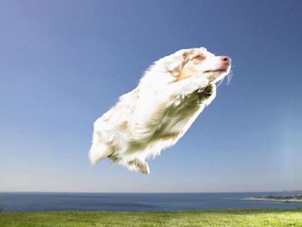 Стоп-кадр Стоп-кадр, в нужный момент,