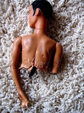 Шкодные , непослушные , гадости животных