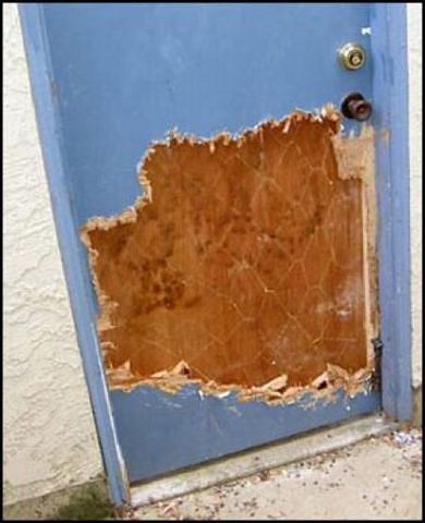 Шкодные , непослушные , гадости животных