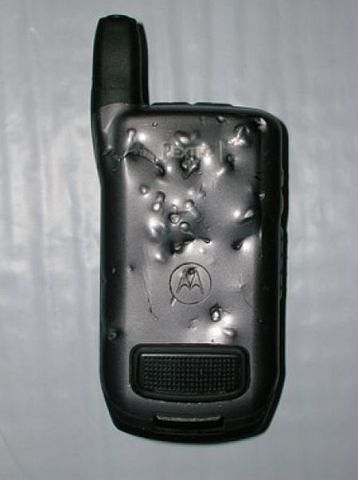 Шкодные , непослушные , гадости животных