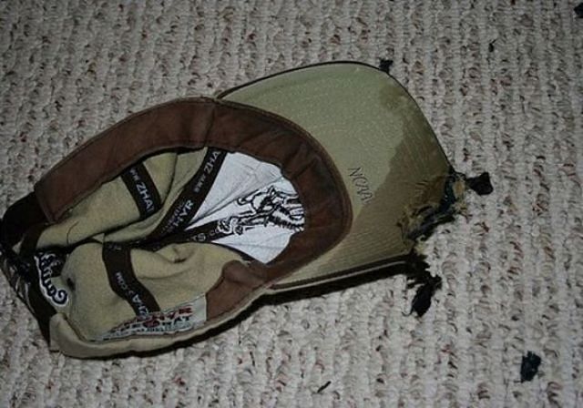 Шкодные , непослушные , гадости животных