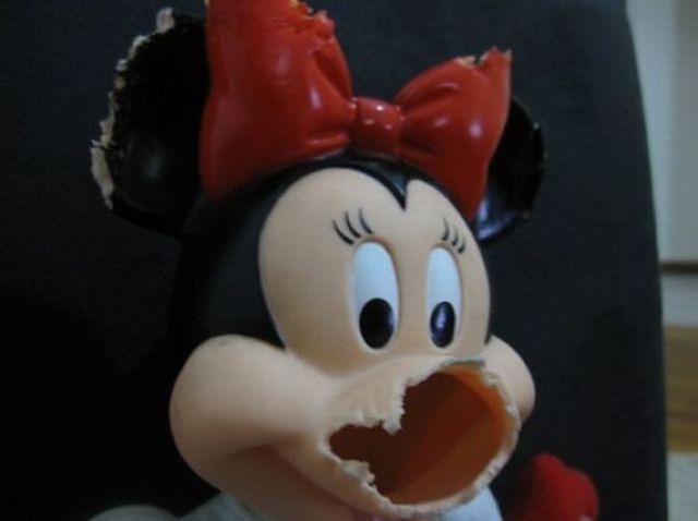 Шкодные , непослушные , гадости животных