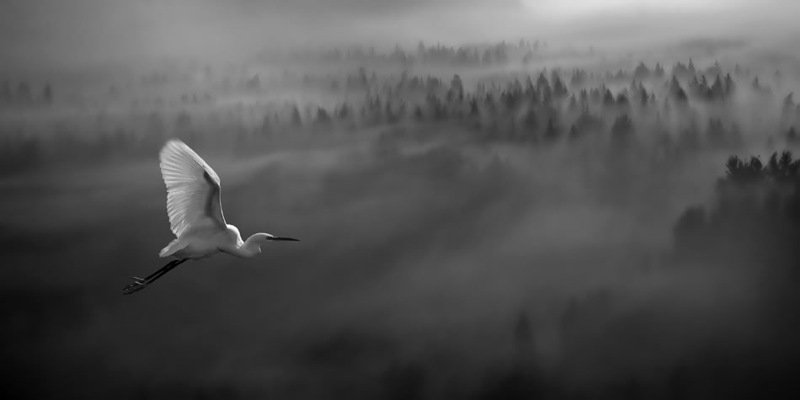 Ландшафты от Matjaz Cater