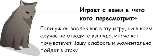 Забавные небылицы. Как определить,что ваш кот хочет вас убить?