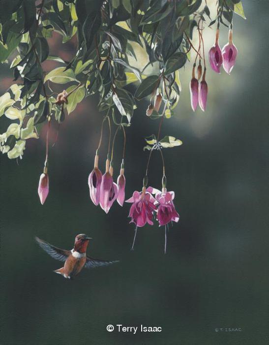 Реальная природа от художника Terry Isaac