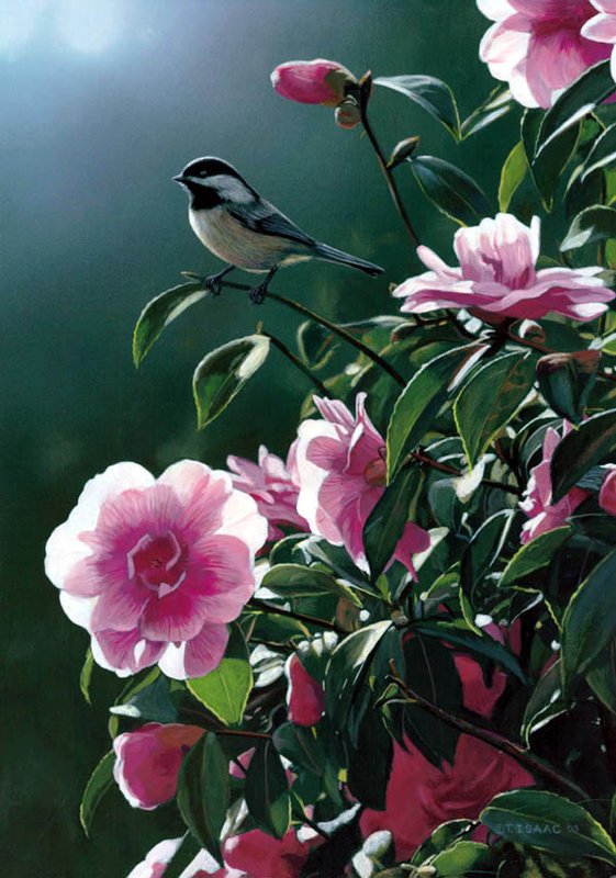 Реальная природа от художника Terry Isaac