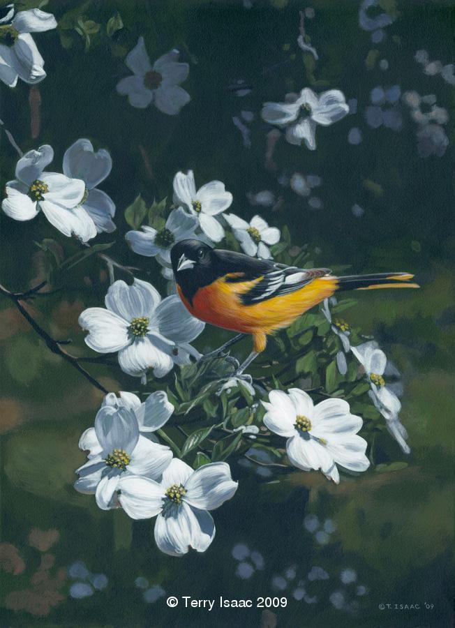 Реальная природа от художника Terry Isaac