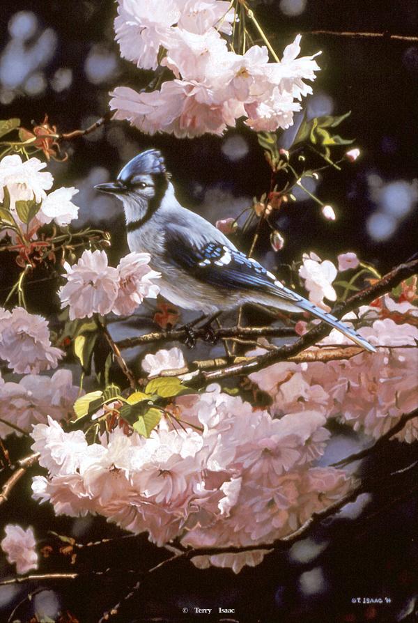 Реальная природа от художника Terry Isaac